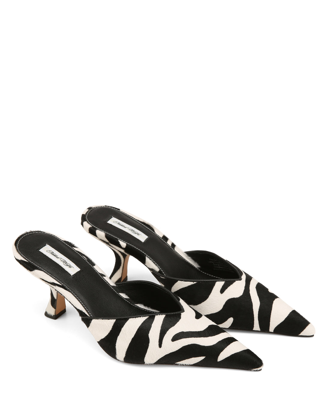 Hagen Zebra Pony